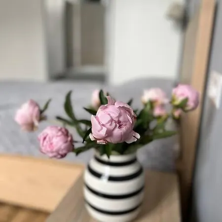Apartament Na Jezycach Poznań